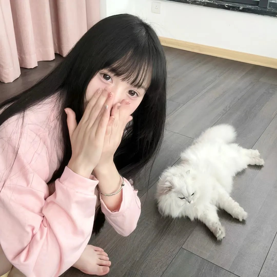 鲨与鲸